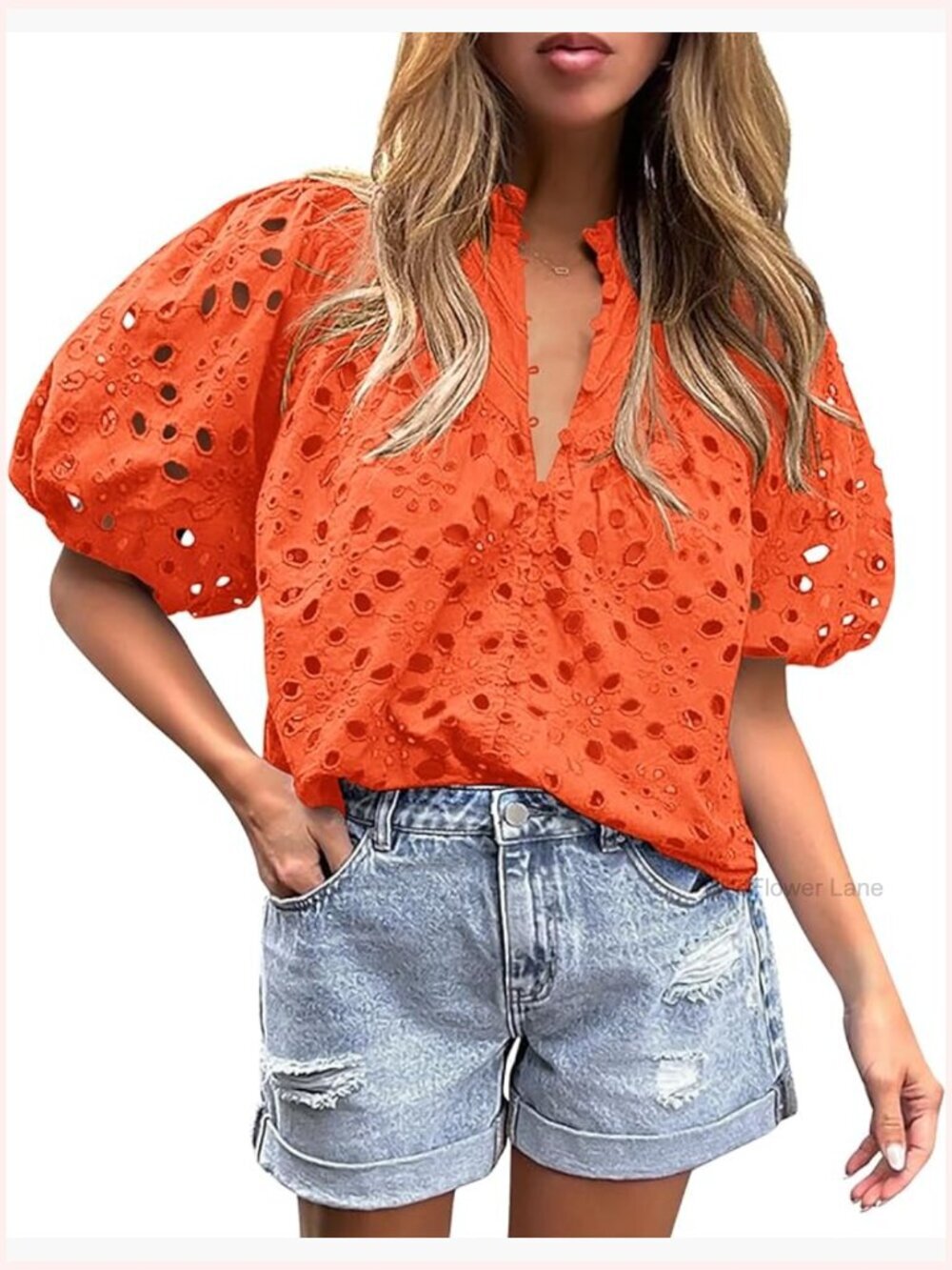 Short Sleeve V Neck Button Down Lace Eyelet Embroidered Blouse Shirt